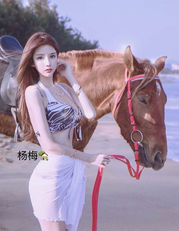 旧金山伴游服务